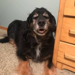 Meet your Posher, Parker